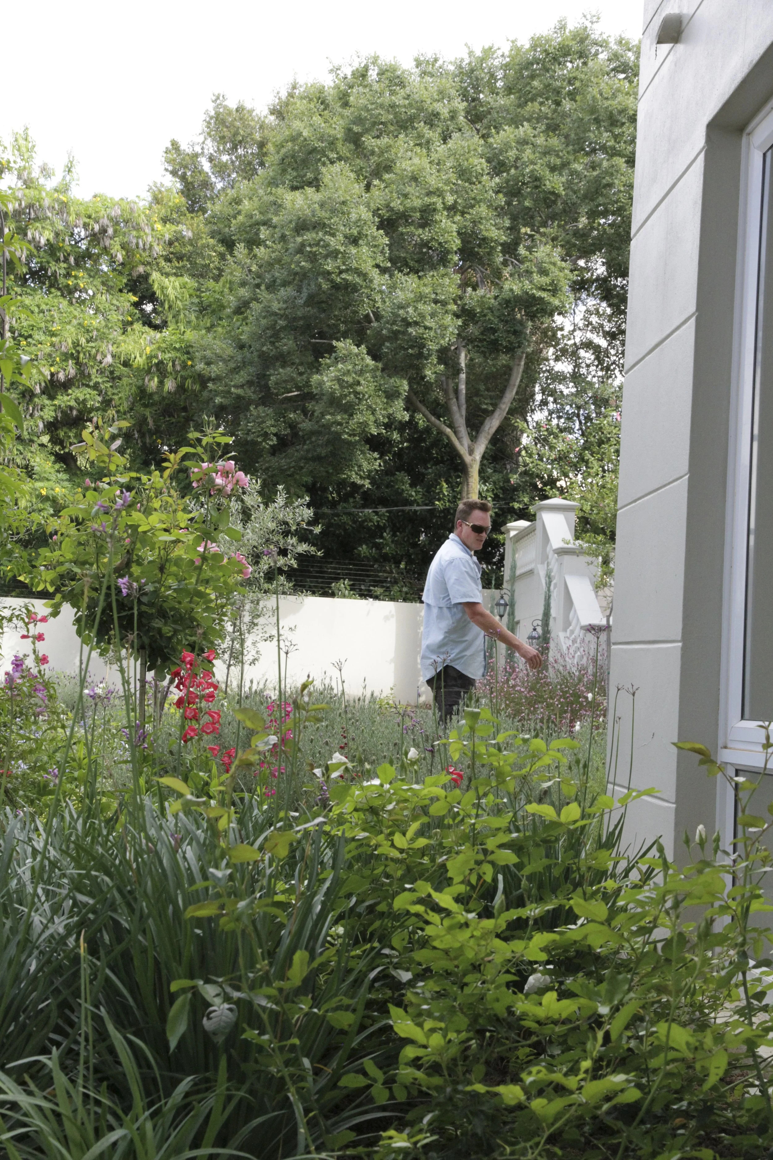 Head gardener inspecting the planting at a private residential garden