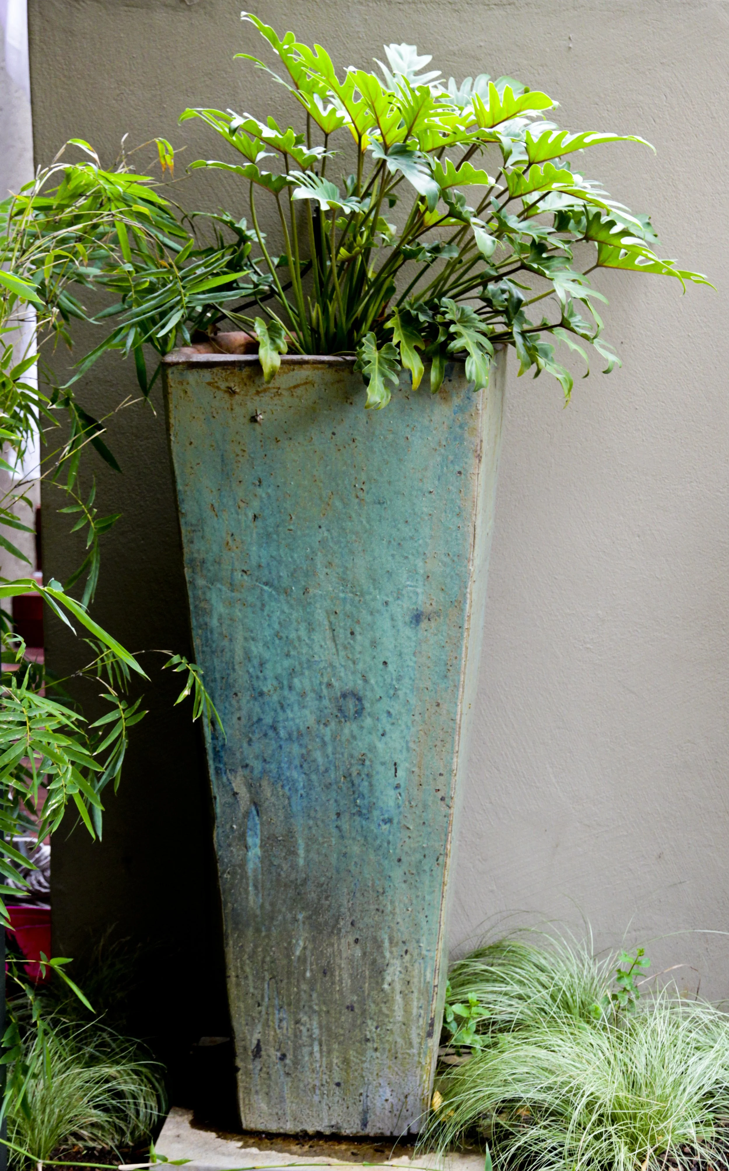 Tall, rustic blue-green ceramic planter with leafy green plants, set against a beige wall.
