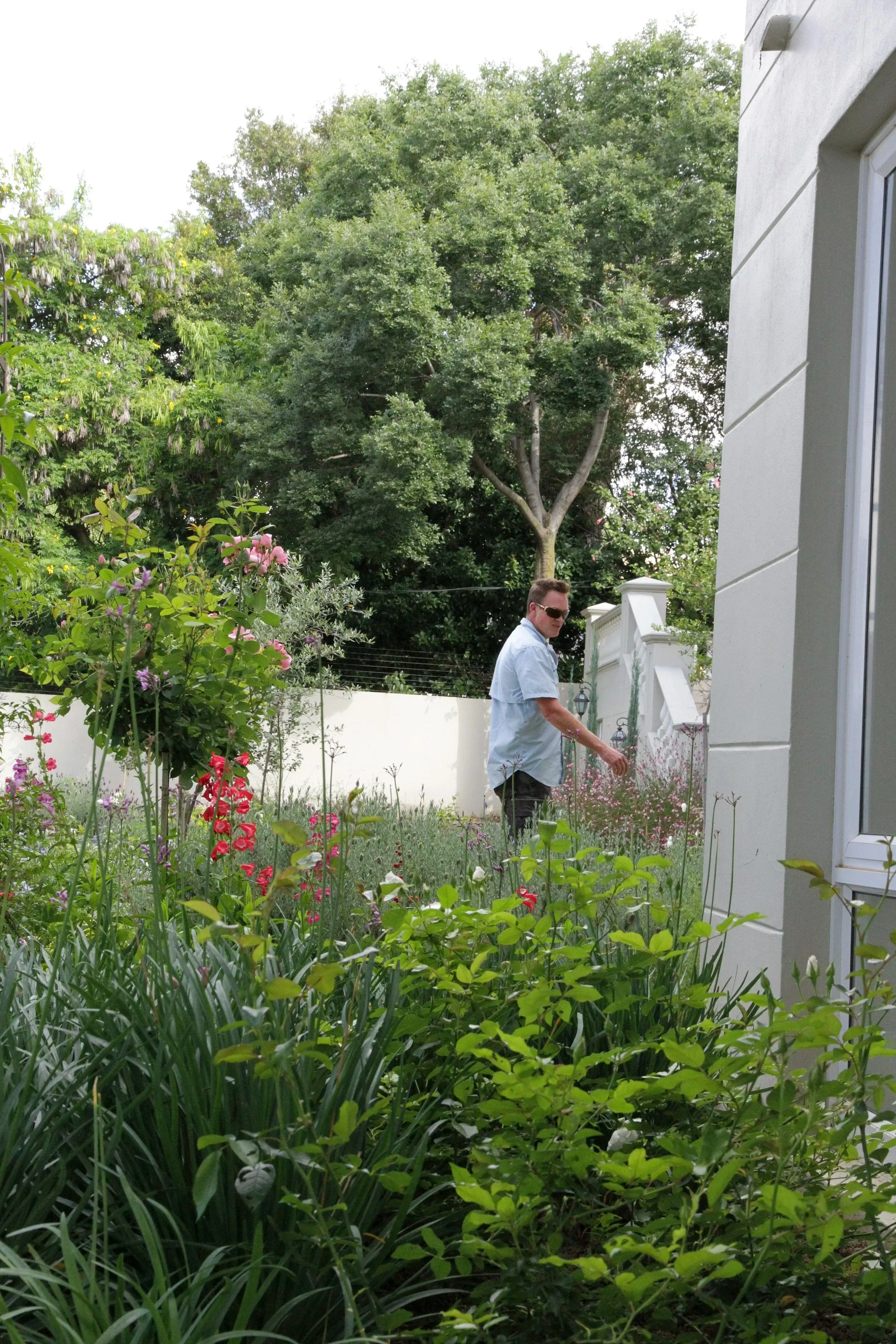 A man in a light blue shirt and sunglasses standing in a lush garden with various colorful flowers and greenery near a white house.
