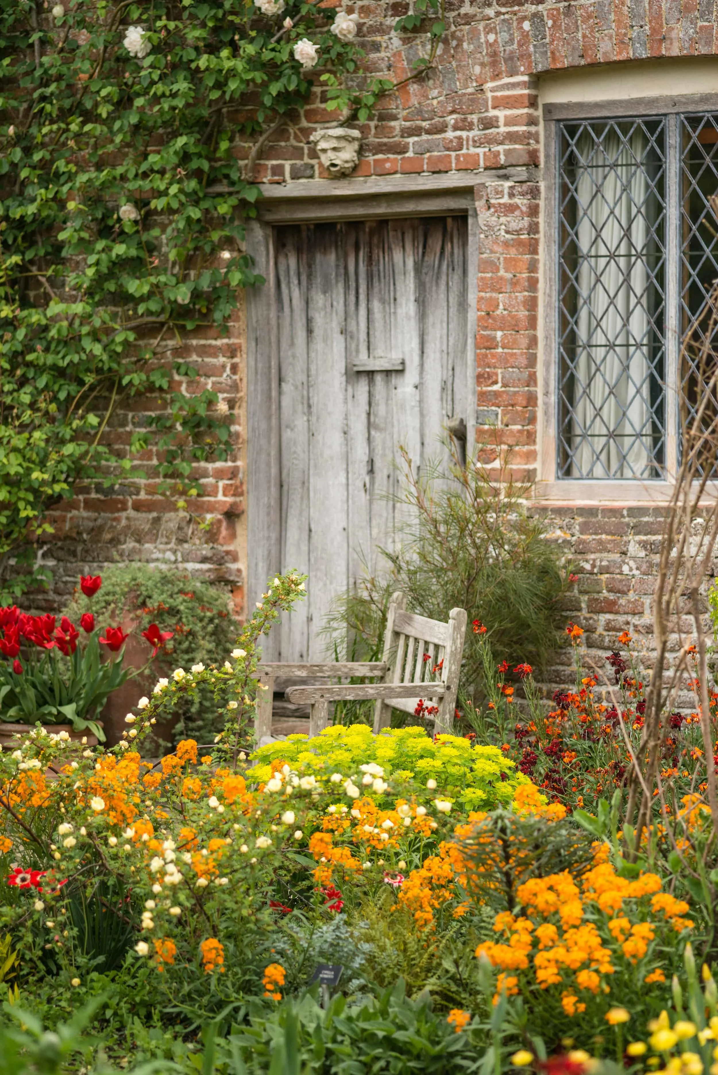 Bright orange flowers tulips and a wooden door in a brick wall