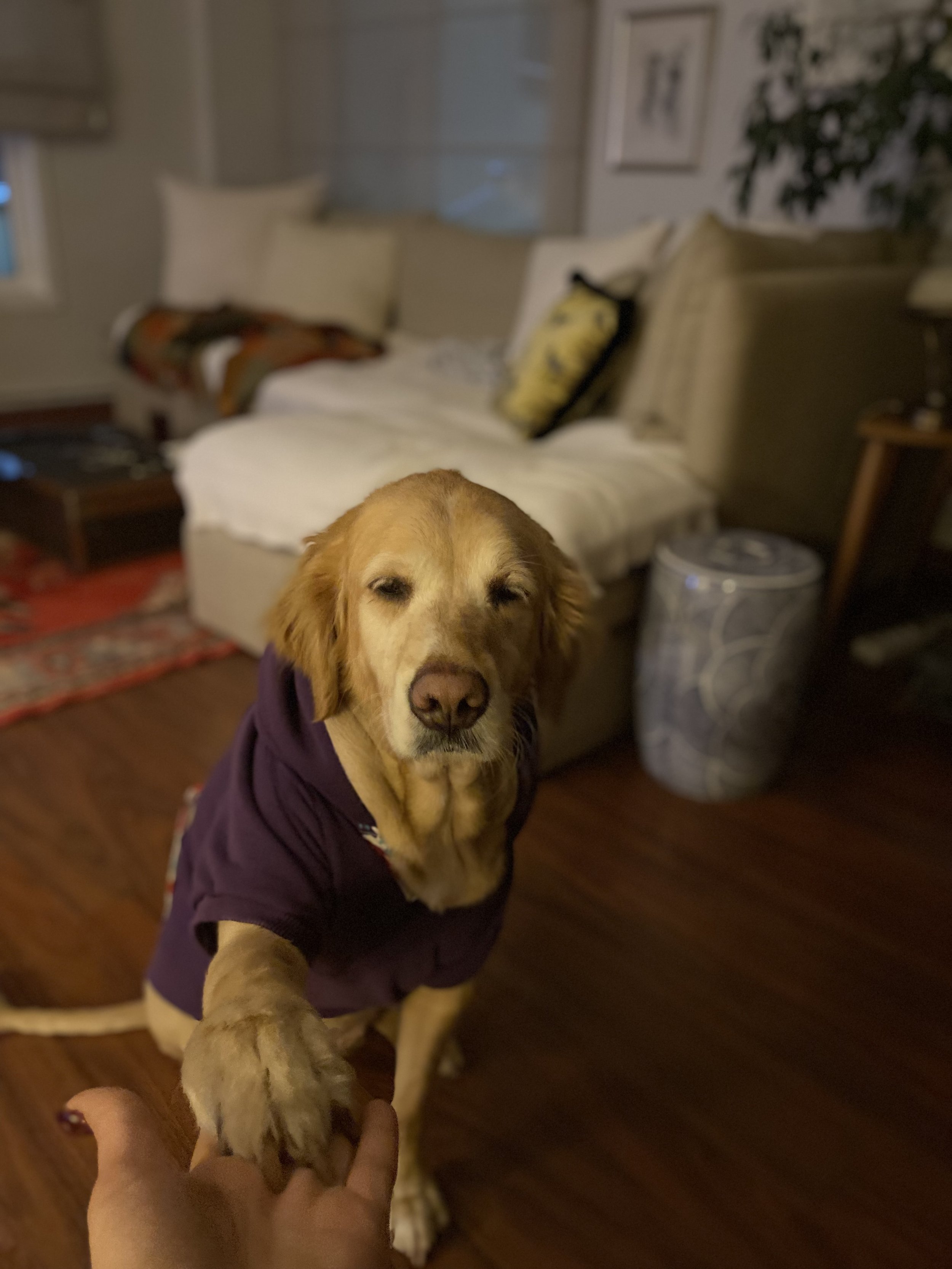 Bazı varlıklar hayatı ciddiye almayı unutturur.