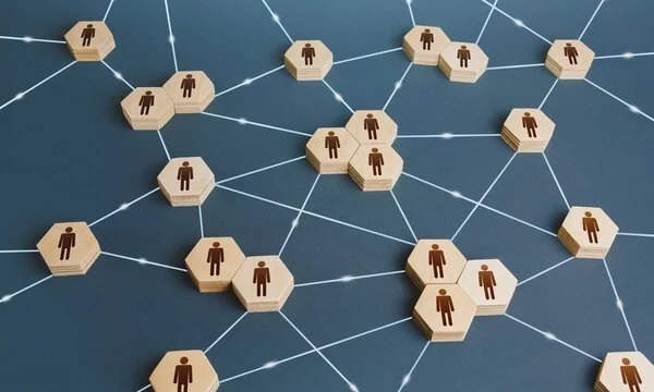 Workforce Structure & Organizational Effectiveness