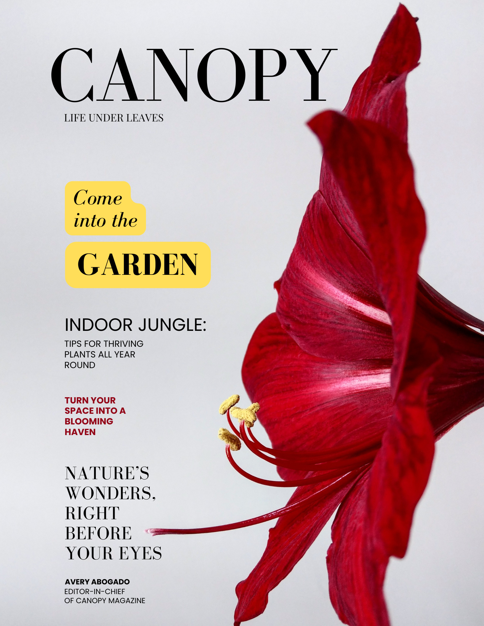 CANOPY.magazine.png