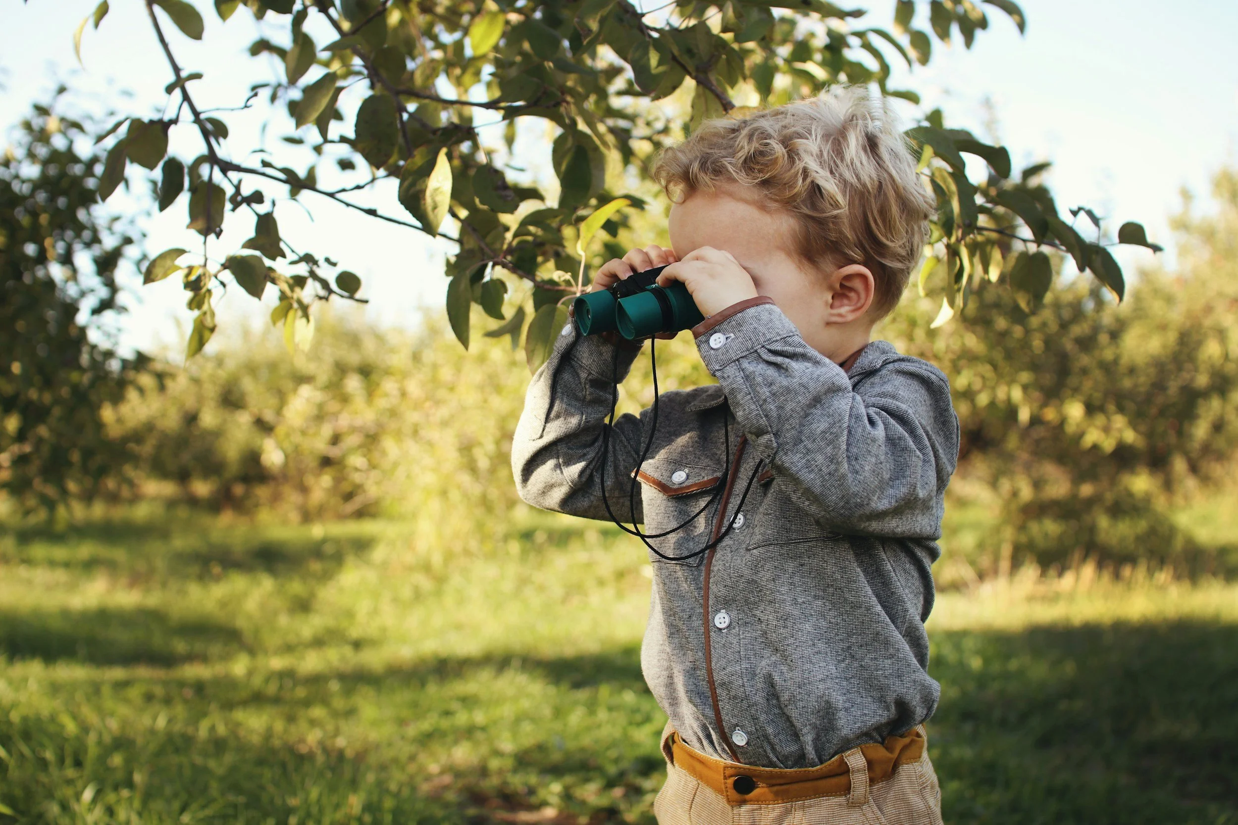 A young boy with curly blonde hair looking through binoculars outdoors in a green, sunny park or orchard.