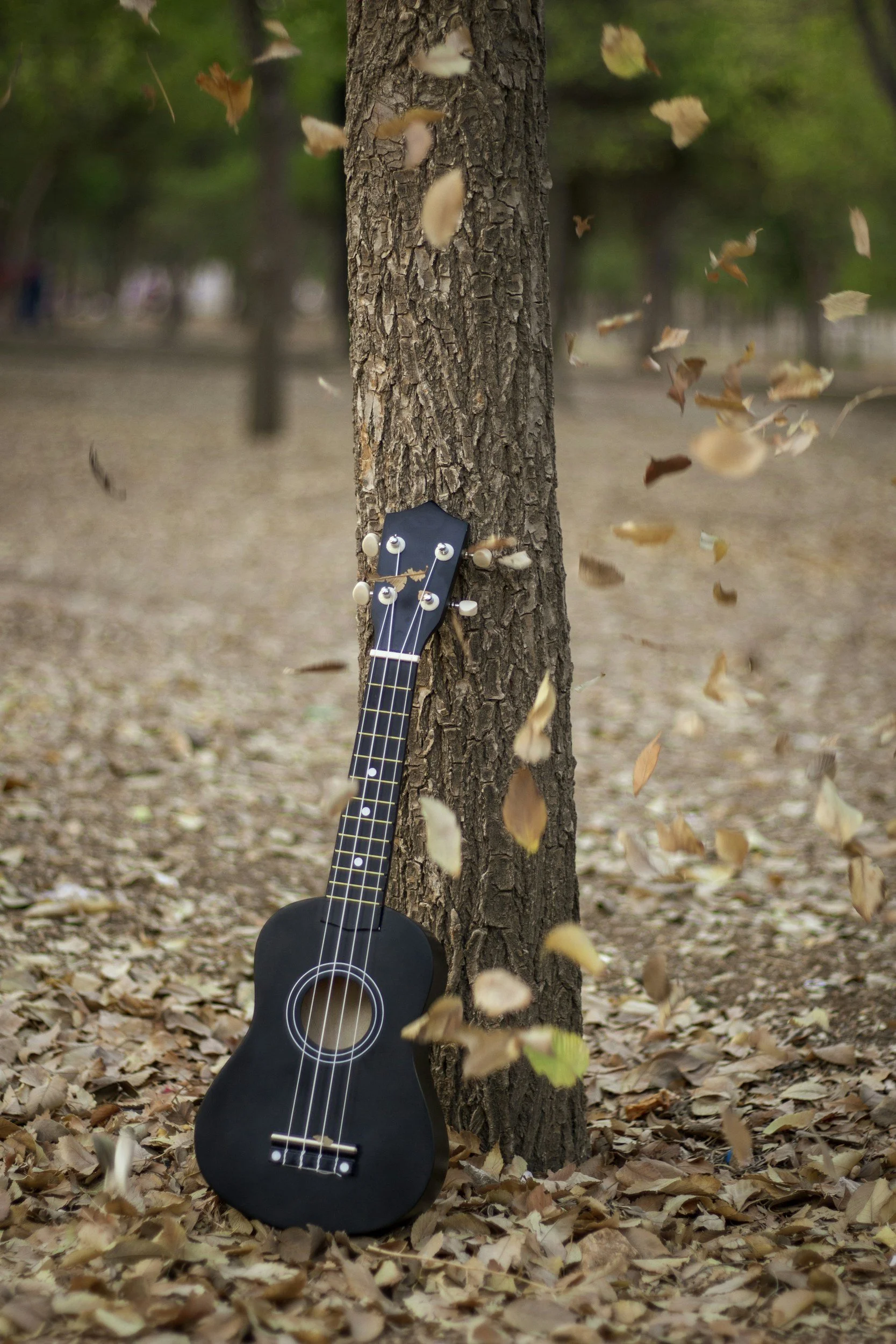 A black ukulele leaning against a tree in a park with fallen autumn leaves around it, and leaves falling in the air.