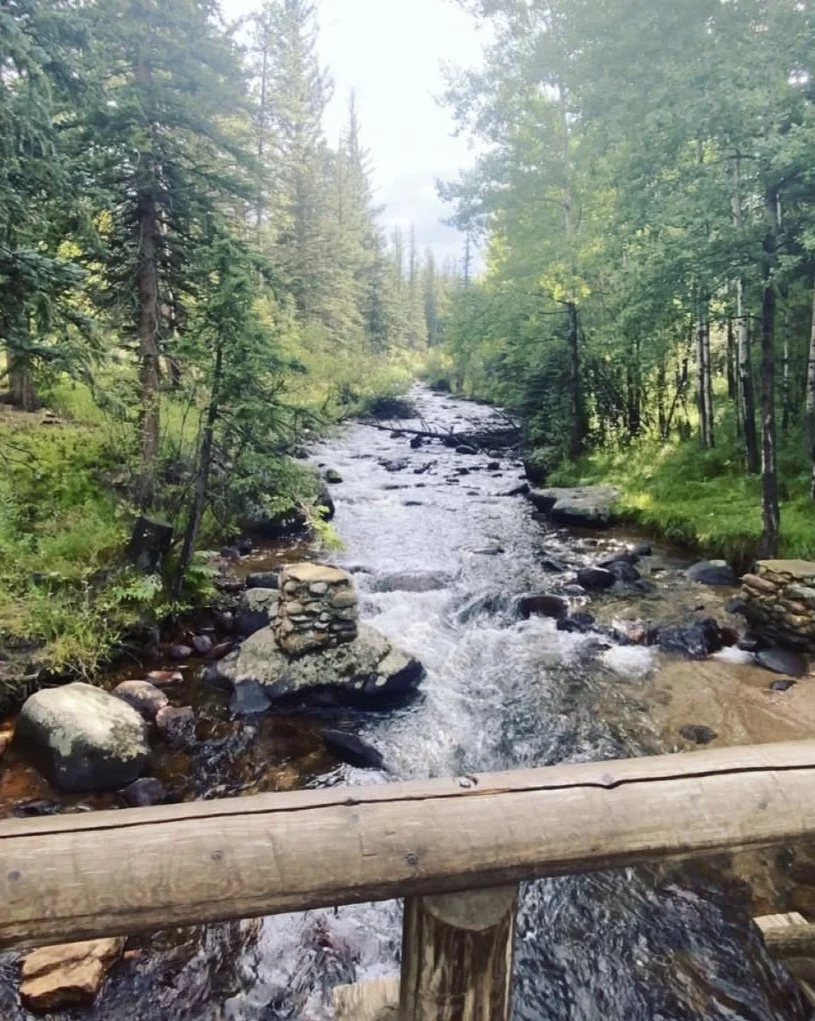 Nature Photography Bundle - 5 Pack