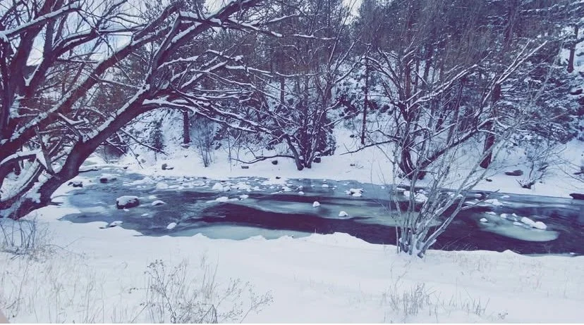 Nature Photography Bundle - 5 Pack