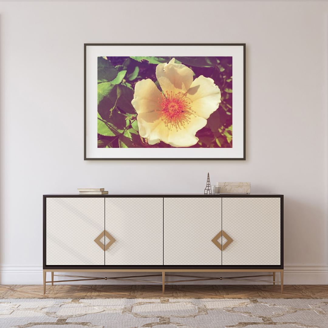 Yellow daisy new.png