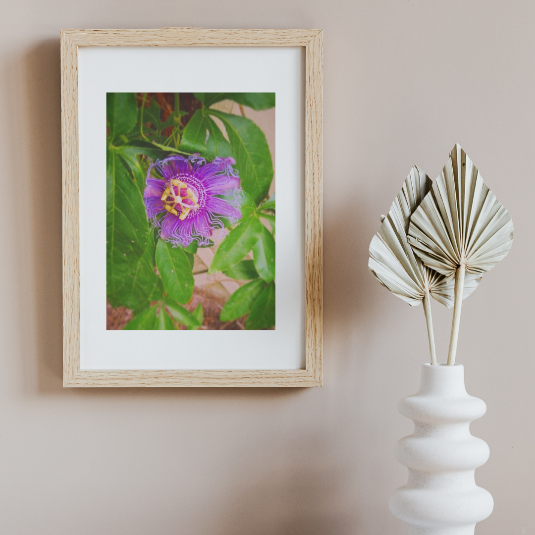 Passionflower New.png