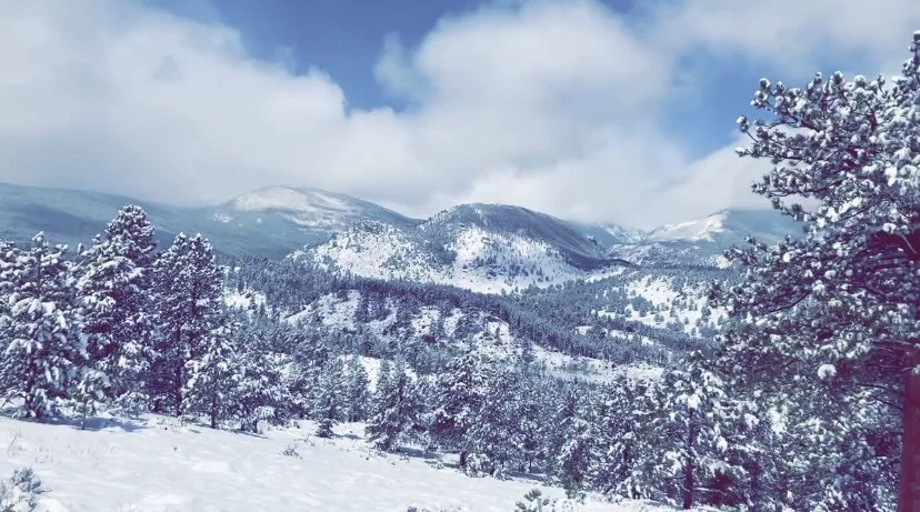 Nature Photography Bundle - 5 Pack