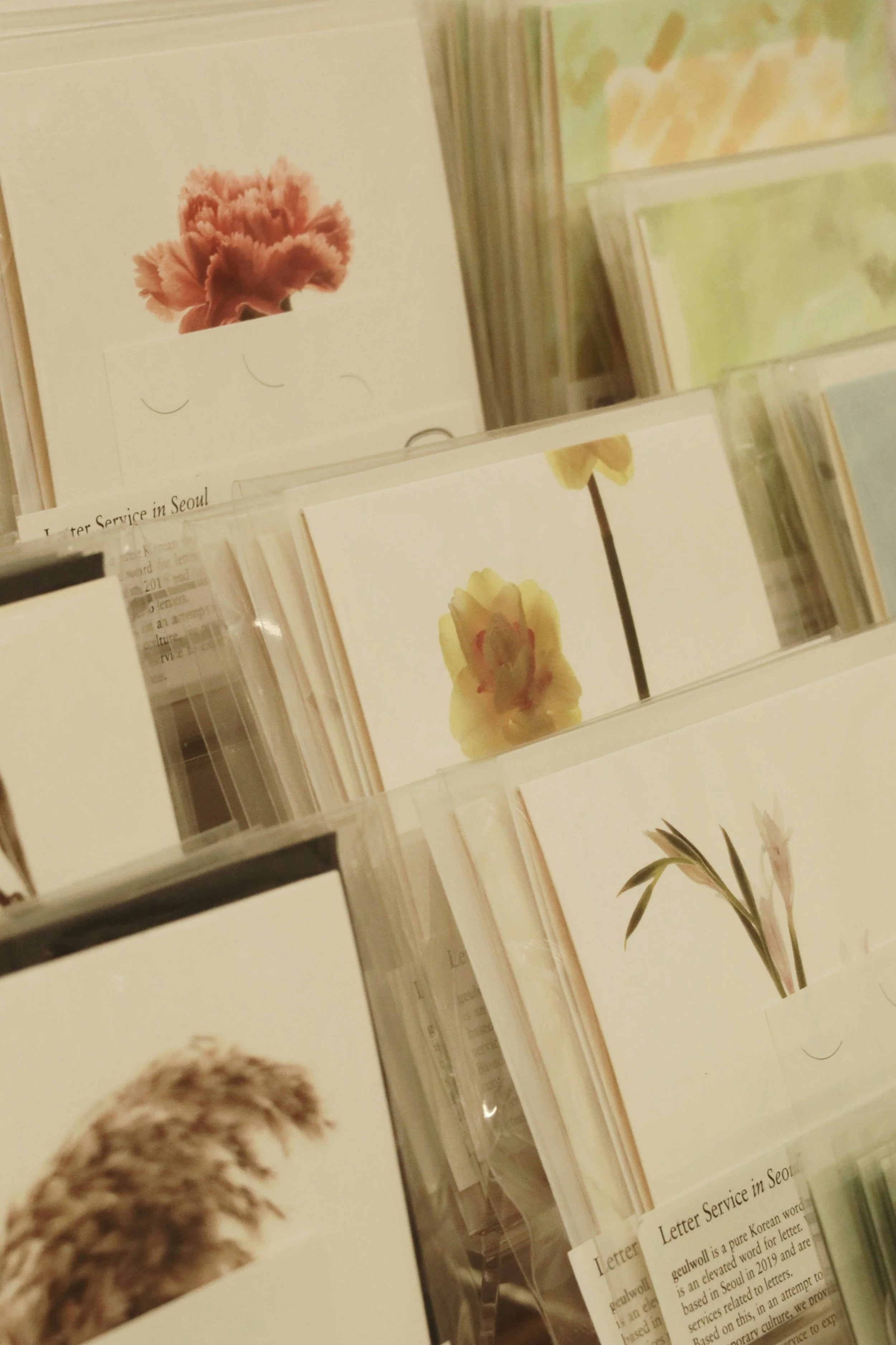 Botanical Specimen Cards