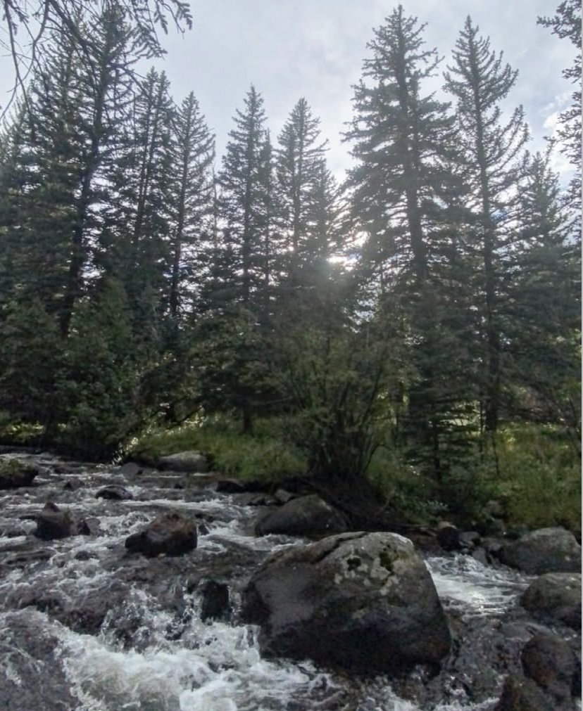 Nature Photography Bundle - 5 Pack