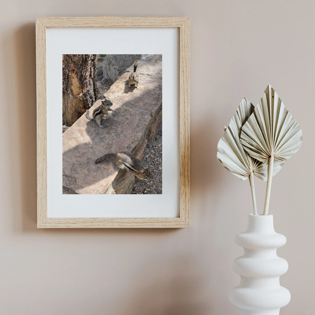 Copy of Copy of maryslake.portrait.png