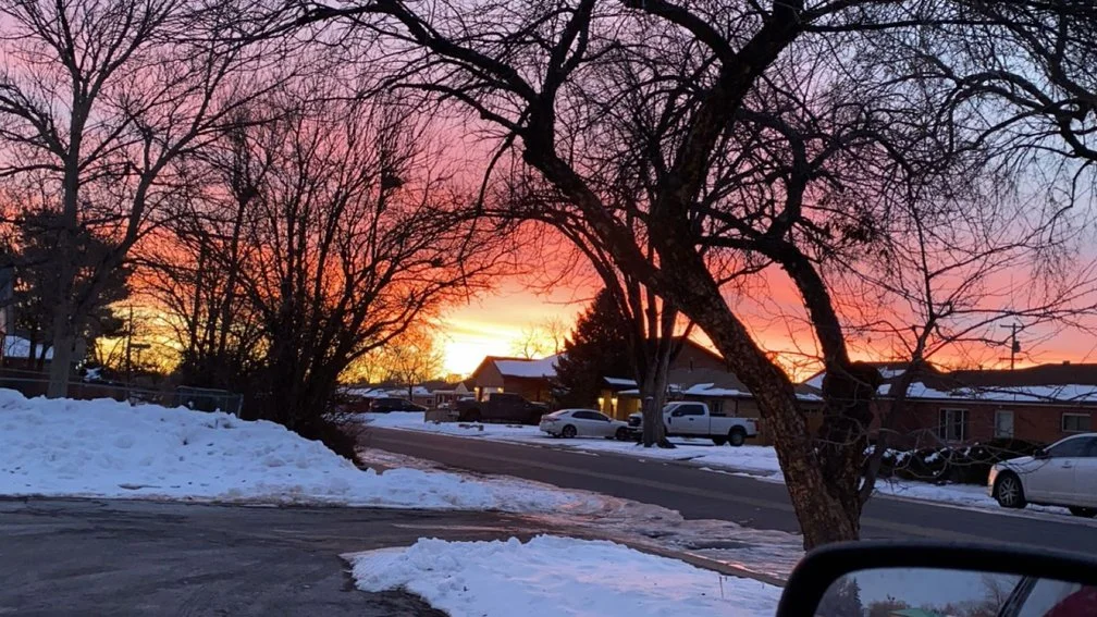 Nature Photography Bundle - 5 Pack