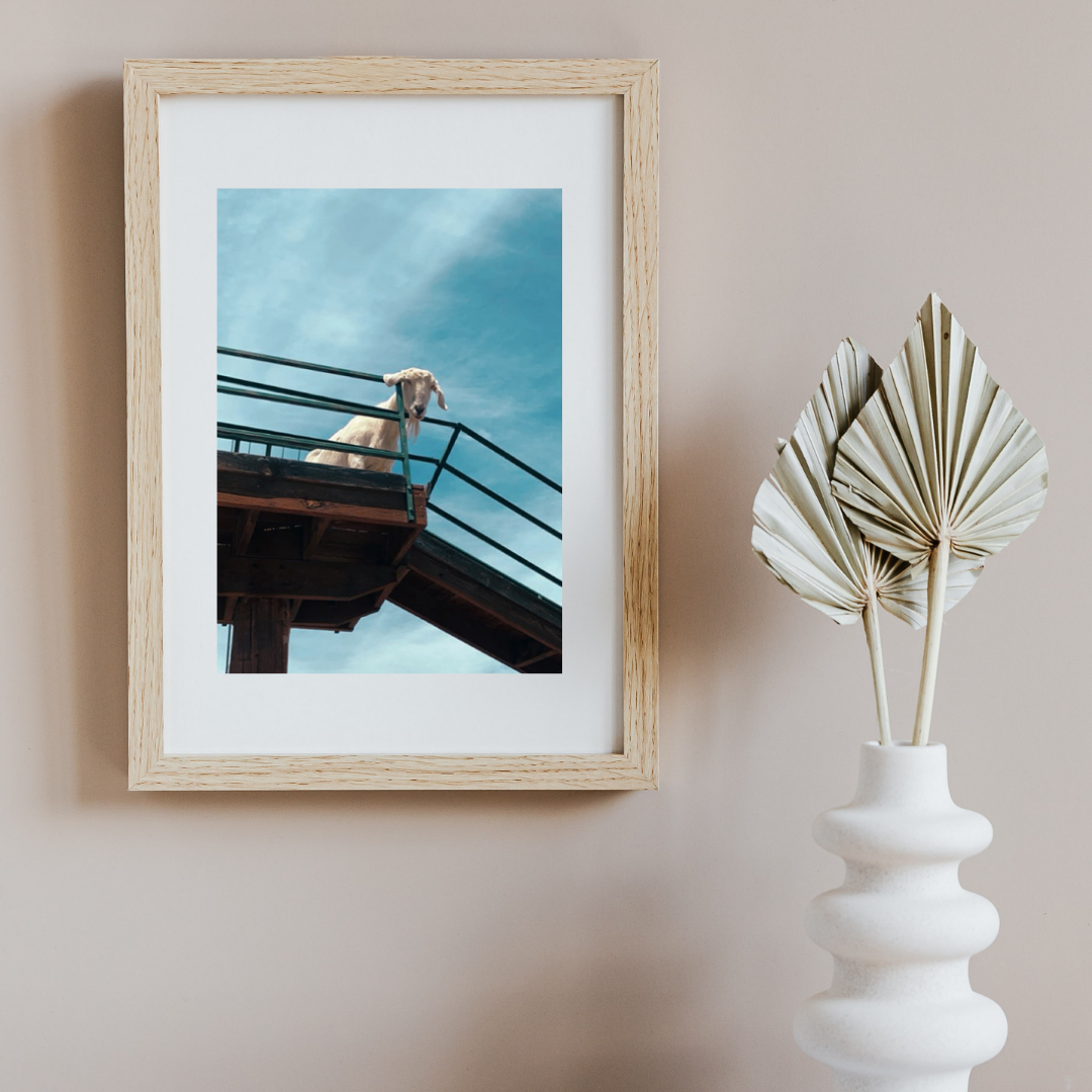 Copy of maryslake.portrait.png