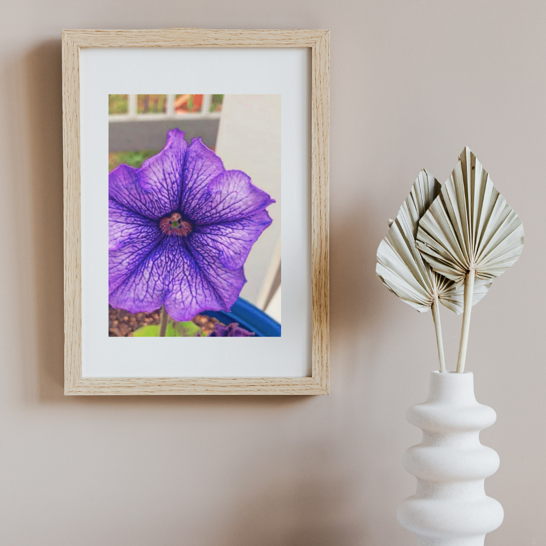 Purple Petunia New.png