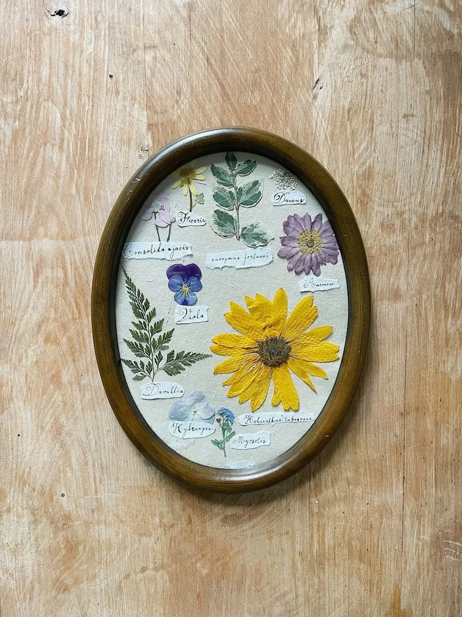 Pressed Flower Frames