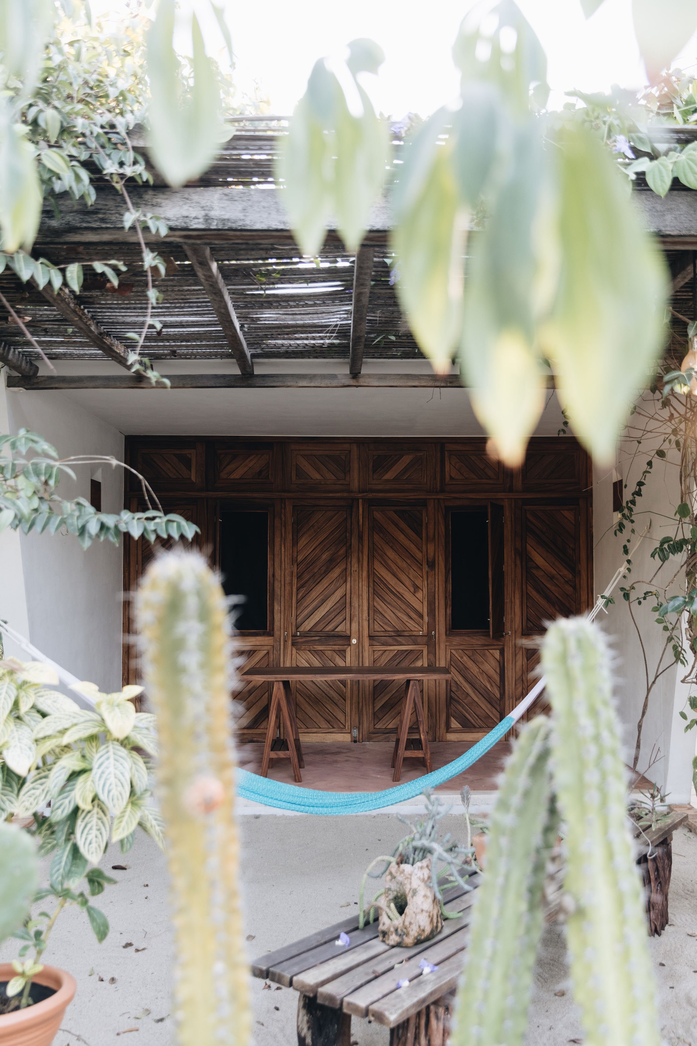 Un espacio de patio con plantas, cactus y mobiliario de madera, con una hamaca azul. En el fondo, puerta de madera con paneles.