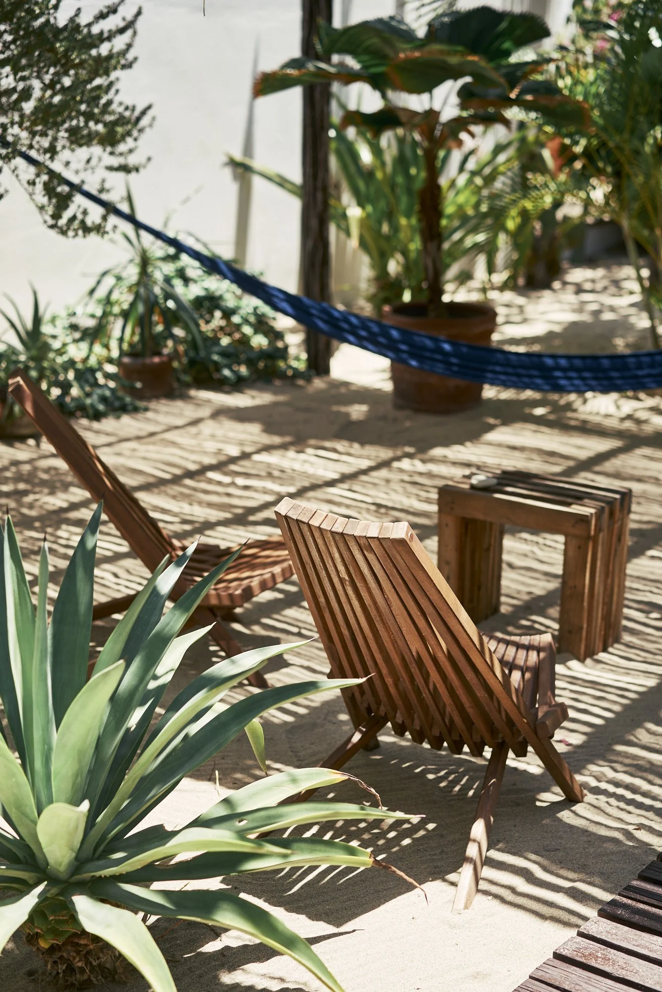 Zona de descanso con sillas de madera en una terraza soleada rodeada de plantas tropicales y sombra de palmeras