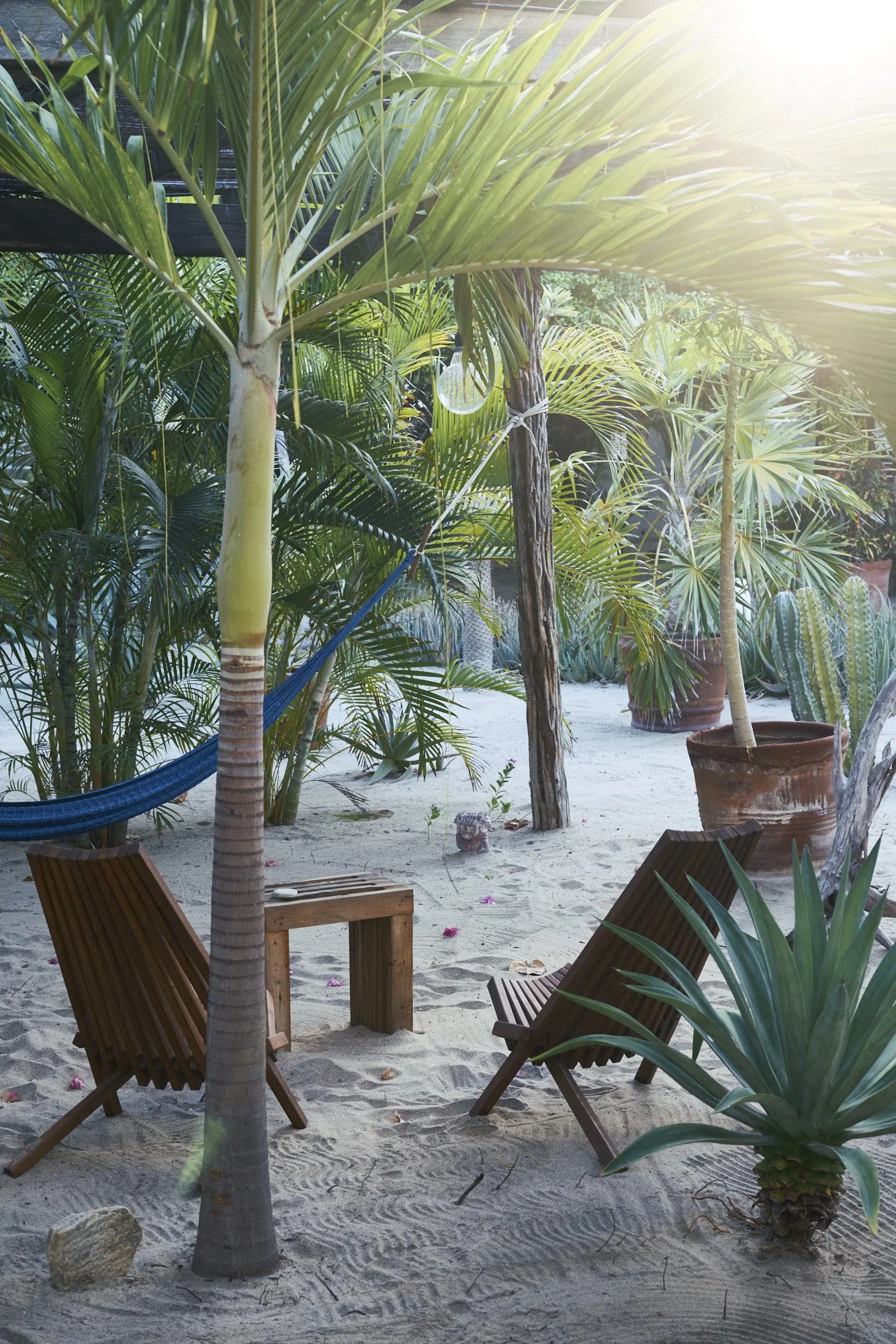 Un área de jardín con arena, varias plantas tropicales y cactus, dos sillas de madera y una hamaca azul.