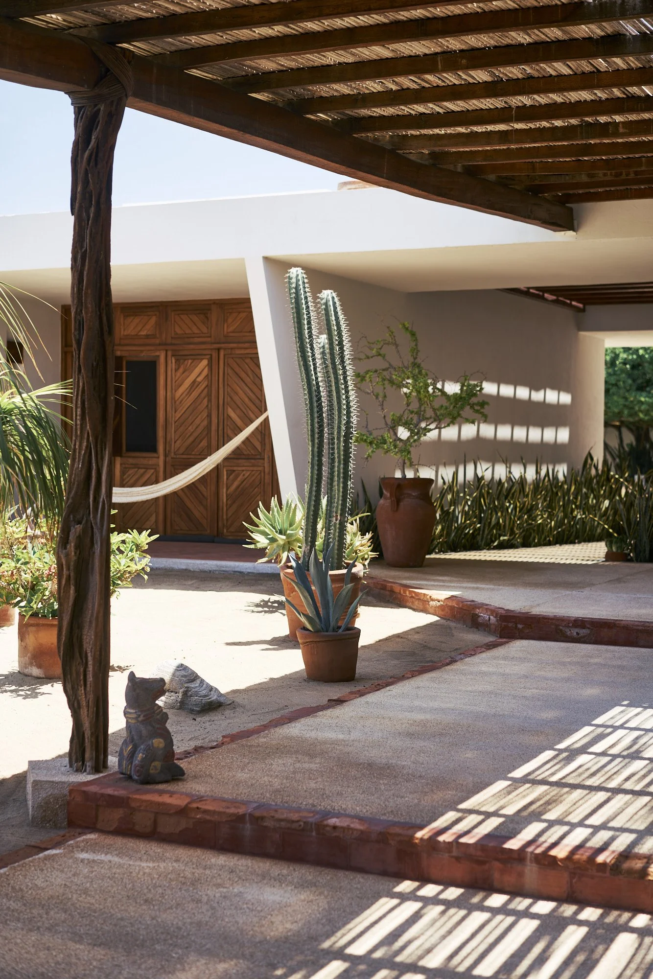 Patio con plantas en macetas, incluyendo un cactus grande, en un entorno moderno con sombra de madera y paredes blancas.