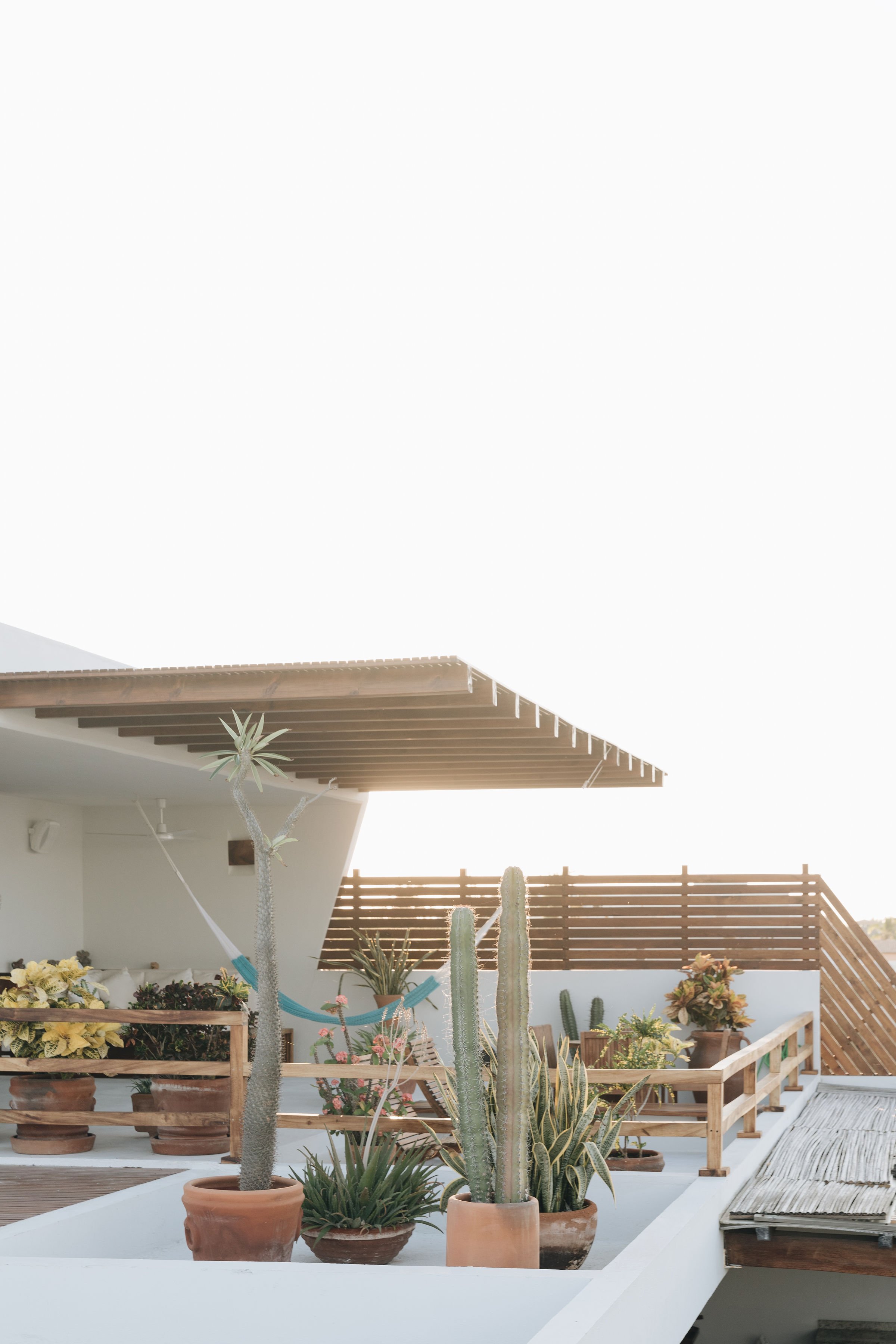 Terraza con plantas en macetas de barro, incluyendo cactus y suculentas, con barandilla de madera y estructura moderna, en un día soleado.