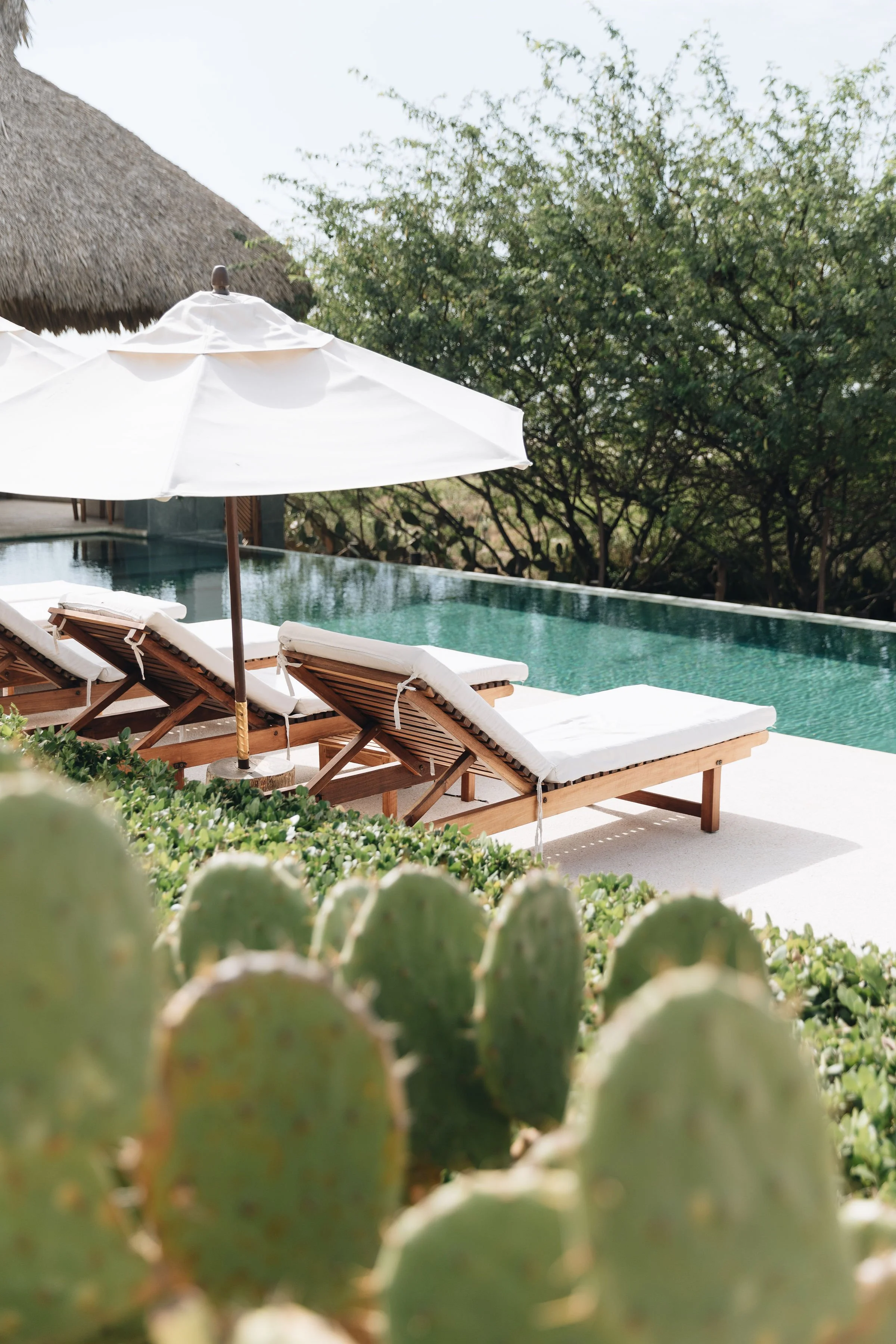 Piscina al aire libre con tumbonas de madera y sombrilla en un entorno natural con árboles y cactus.