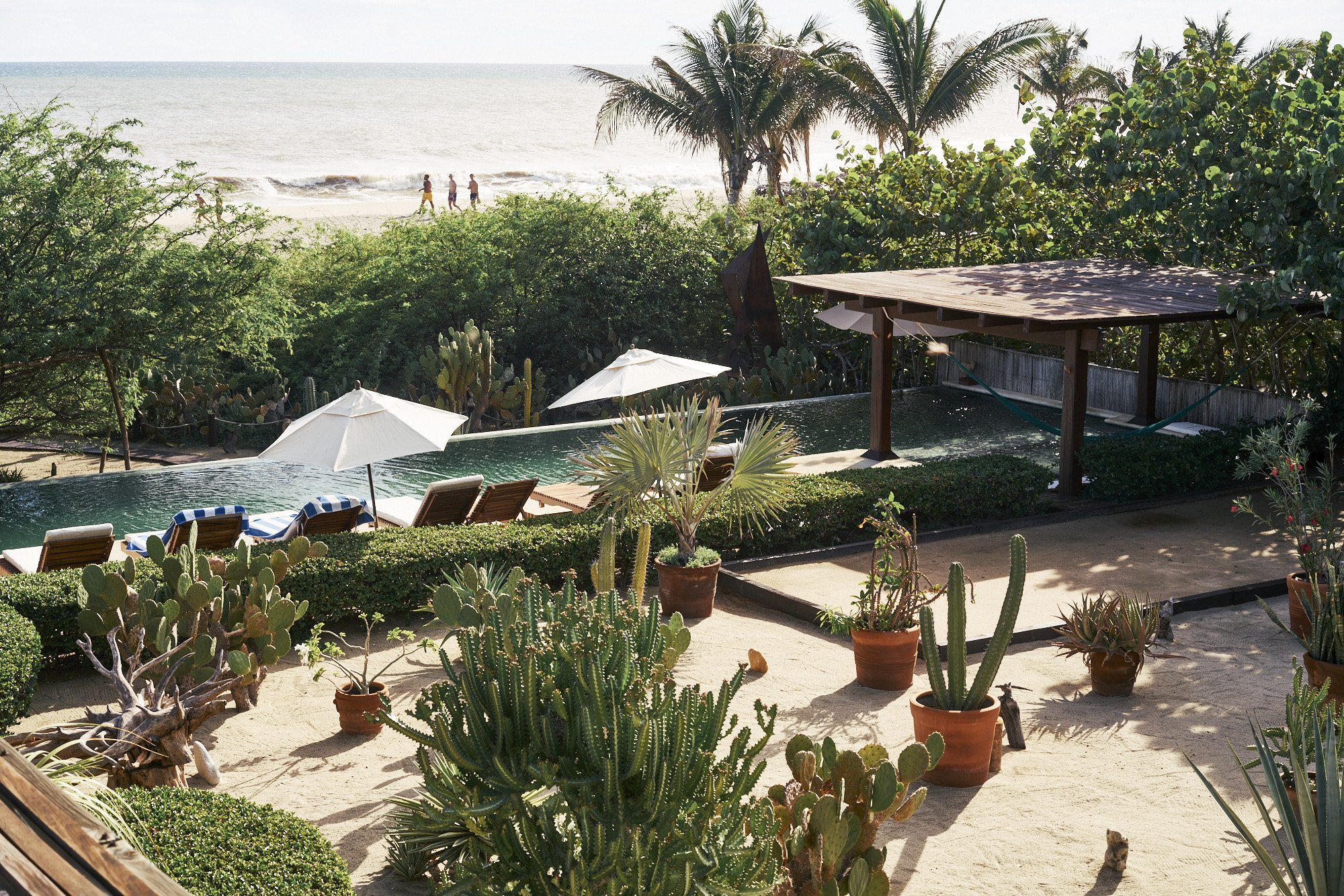 Vista de una zona de piscina con sombrillas y sillones frente a la playa con gente caminando por la orilla, rodeada de plantas cactus y arbustos.
