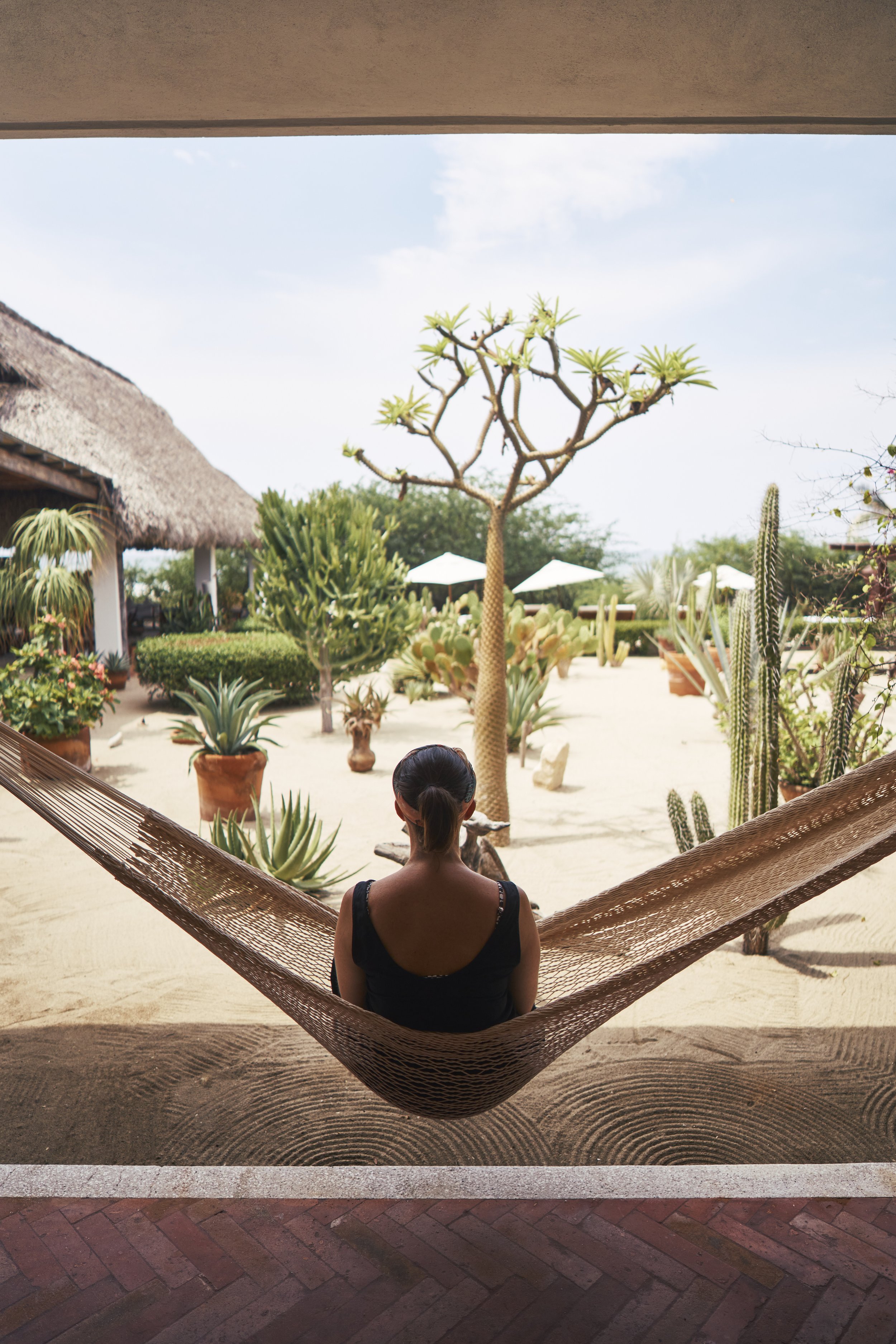 Persona de espaldas descansando en una hamaca, vista hacia un jardín con cactus y árboles en un clima cálido y seco.