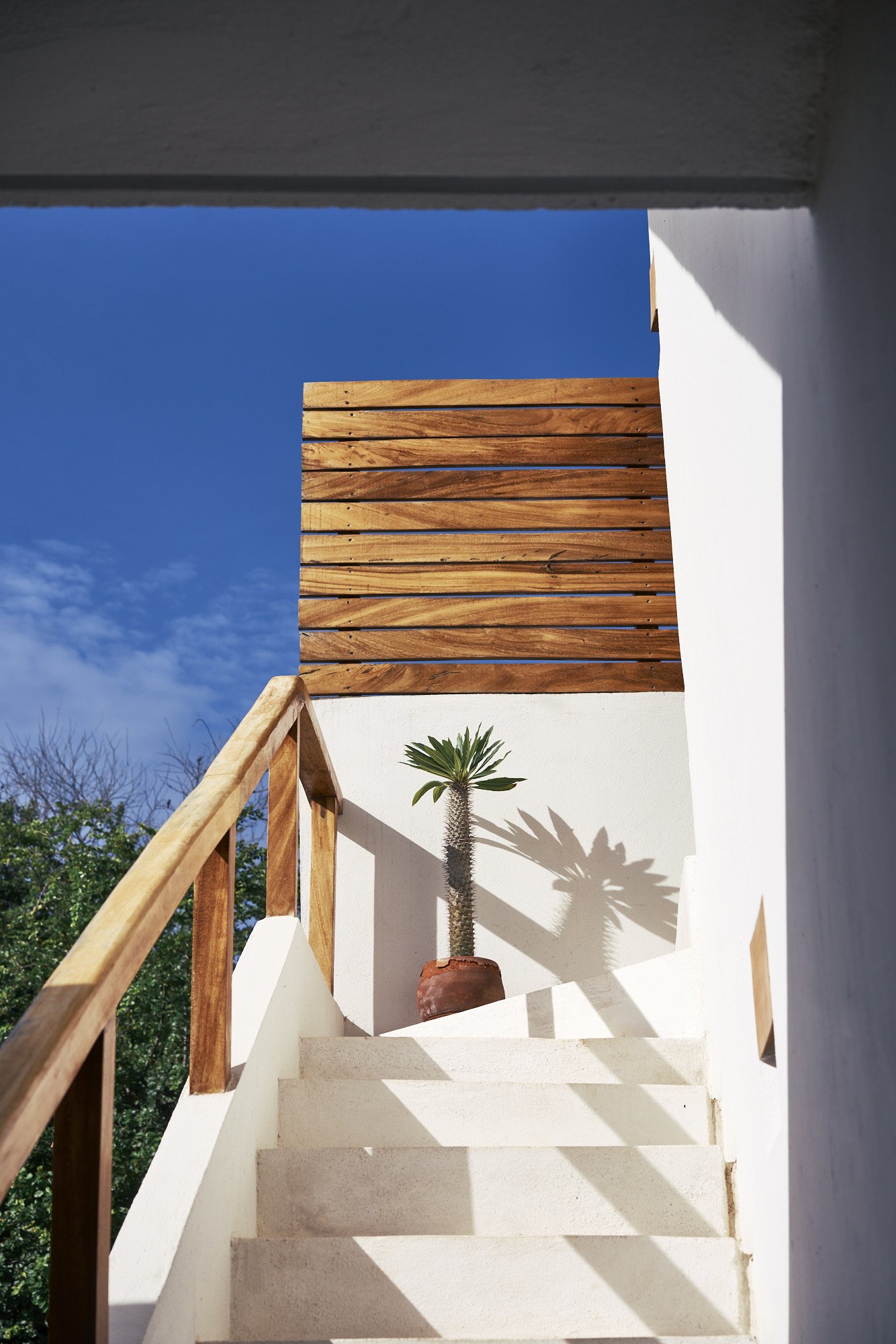 Escalera de concreto blanca con barandal de madera, sombra de una planta en maceta en la pared blanca, muro de madera en el fondo, cielo azul despejado.