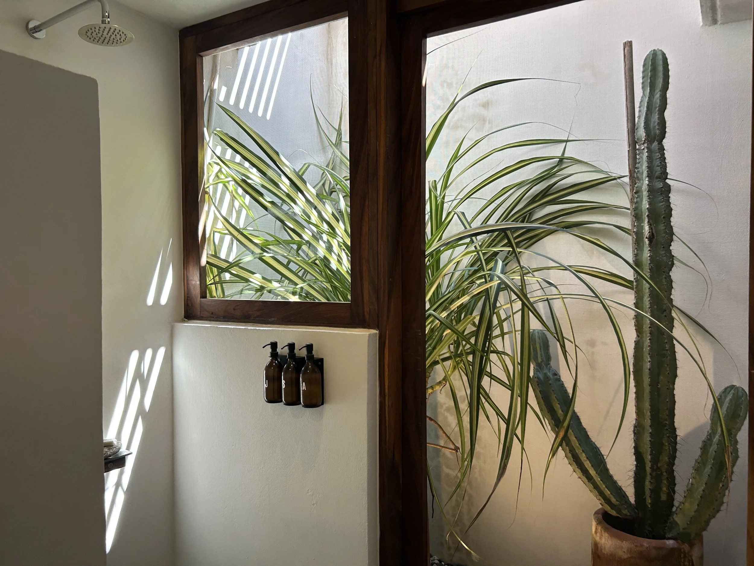 Interior con plantas y una ventana de madera, vista desde el interior.