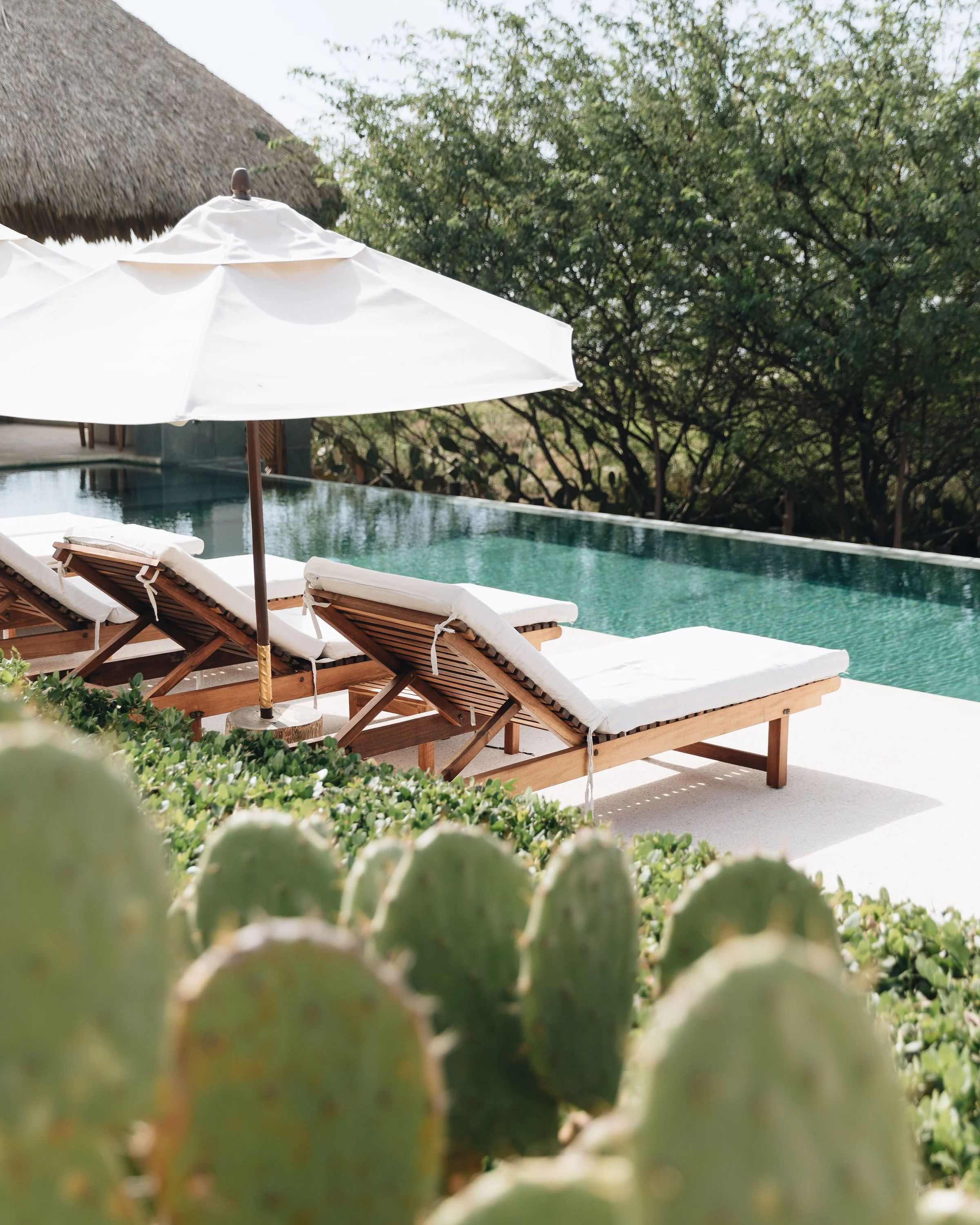 Camastros de madera con cojines blancos y sombrilla en una piscina al aire libre, rodeado de vegetación y cactus.
