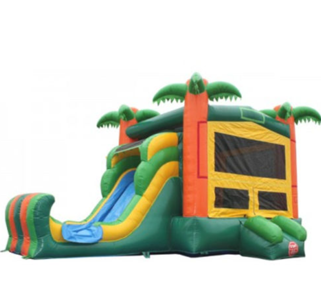 Moonwalk Paradise Two Lane Slide