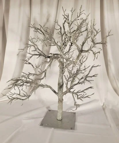 Silver Manzanita Tree