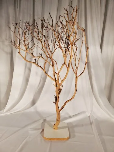 Natural Manzanita Tree