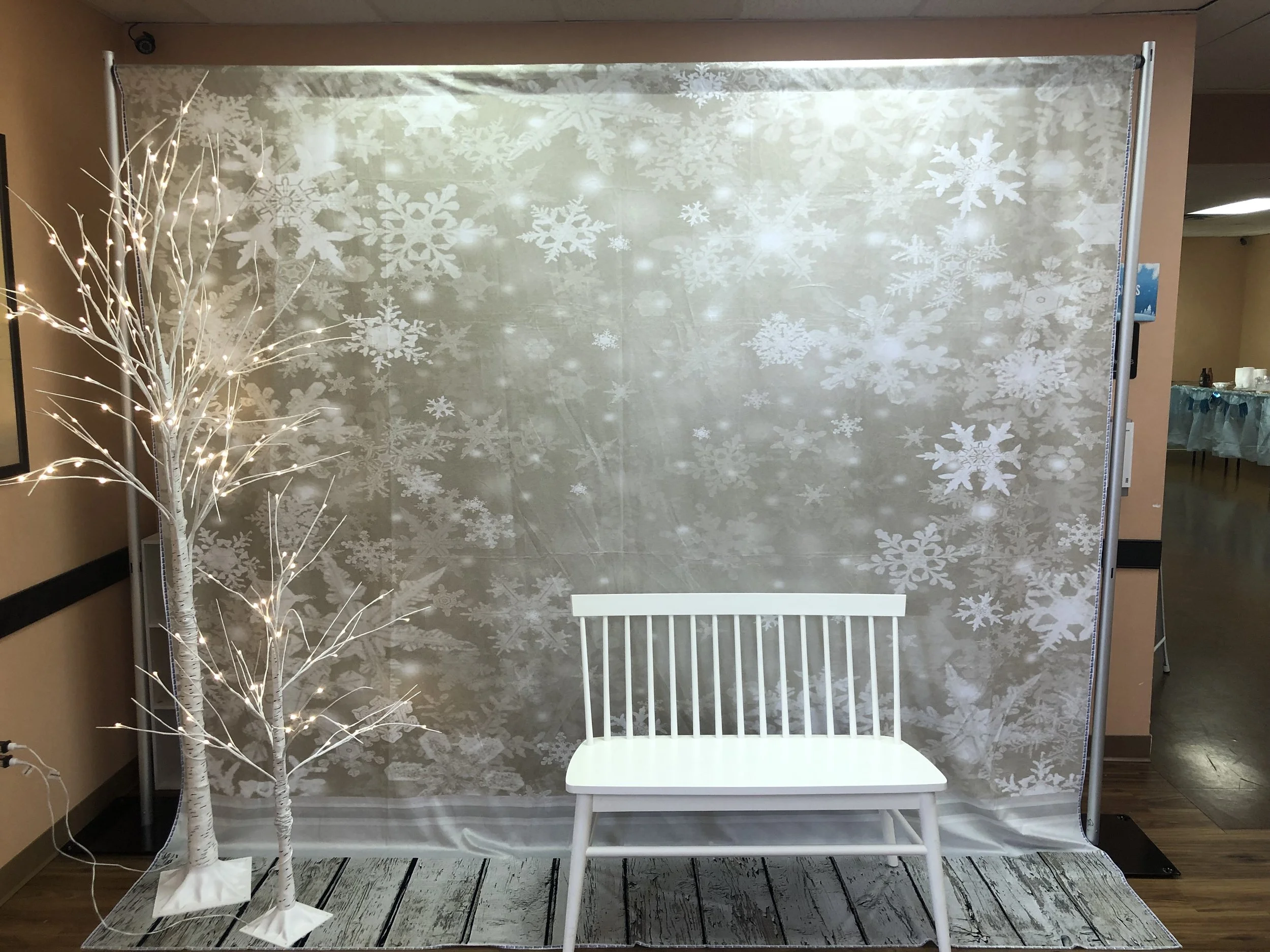 Snow Backdrop