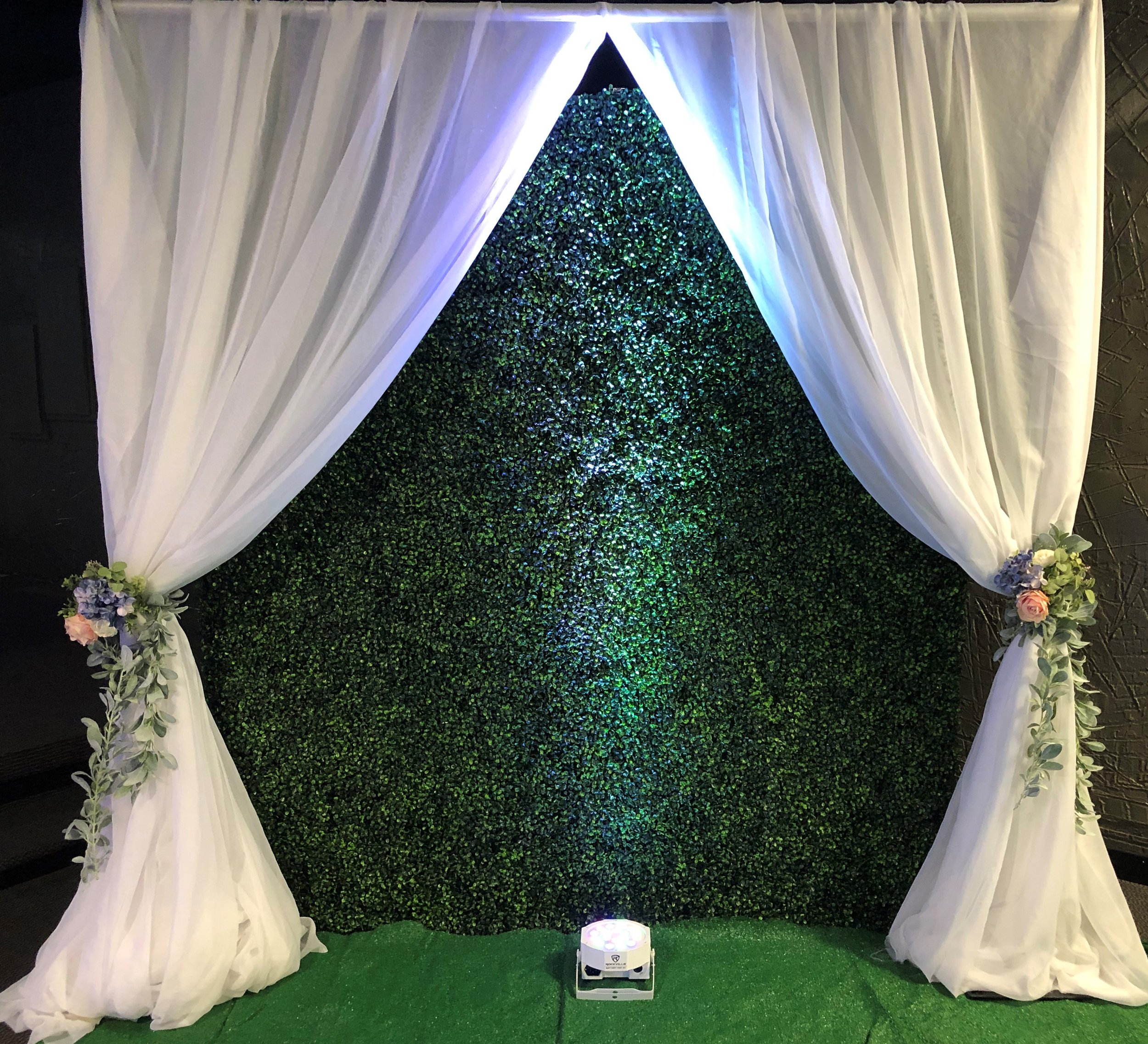 Green Wall with white fabric backdrop.jpg