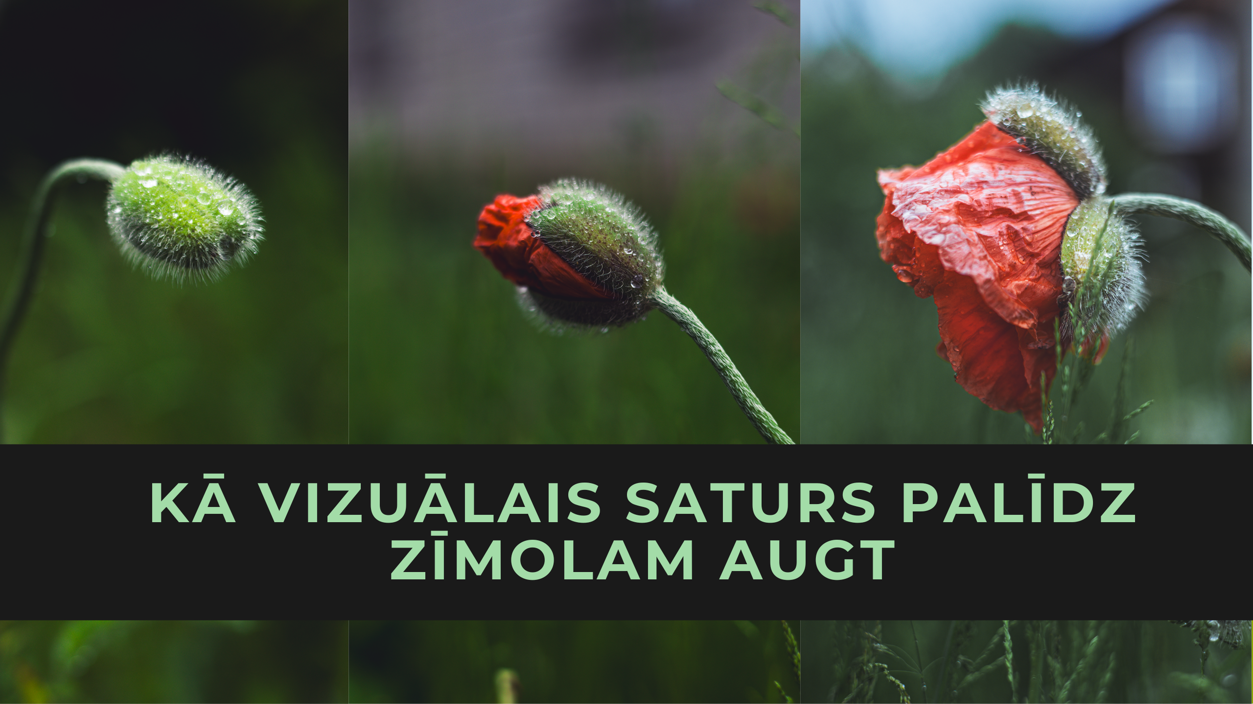 Produktu fotogrāfija ar stāstu: kā vizuālais saturs palīdz zīmolam augt