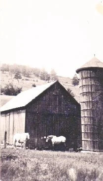 This barn &amp; hayloft stood where Mario’s Playhouse is now. (circa 1950). 