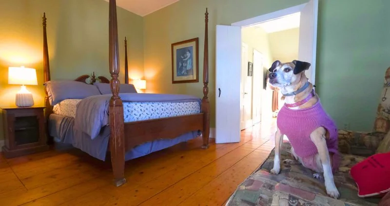 shakes-main-bedroom-with-sitting-room-view.jpg