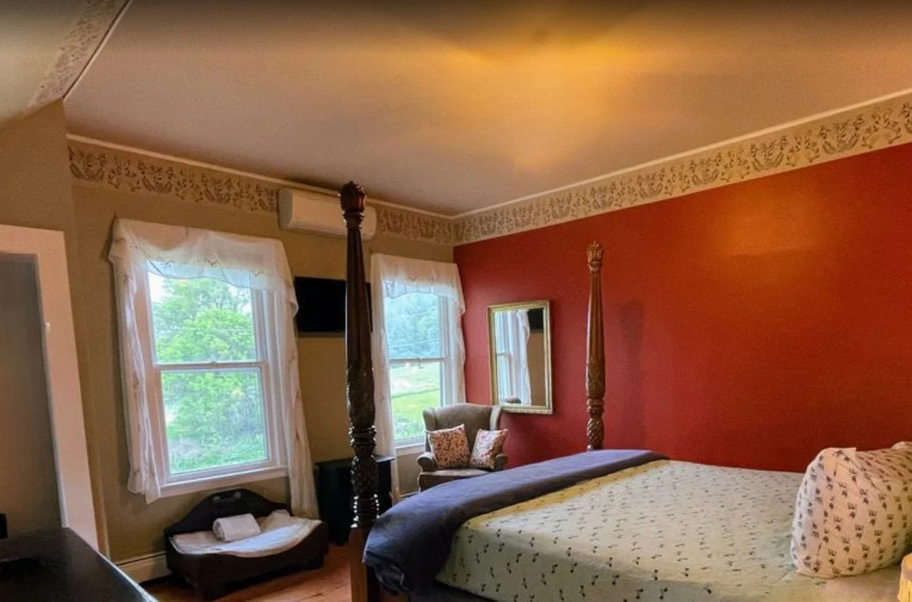 bad_dog_bedroom_with_meadow_view.jpg