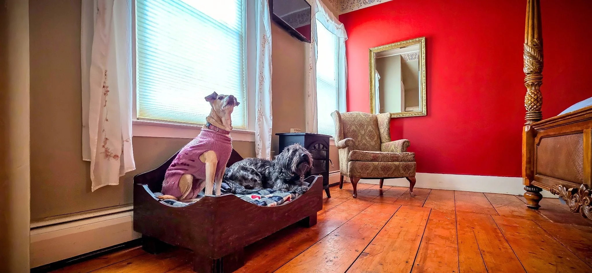 bad_dog_firestove_sitting_area.jpg