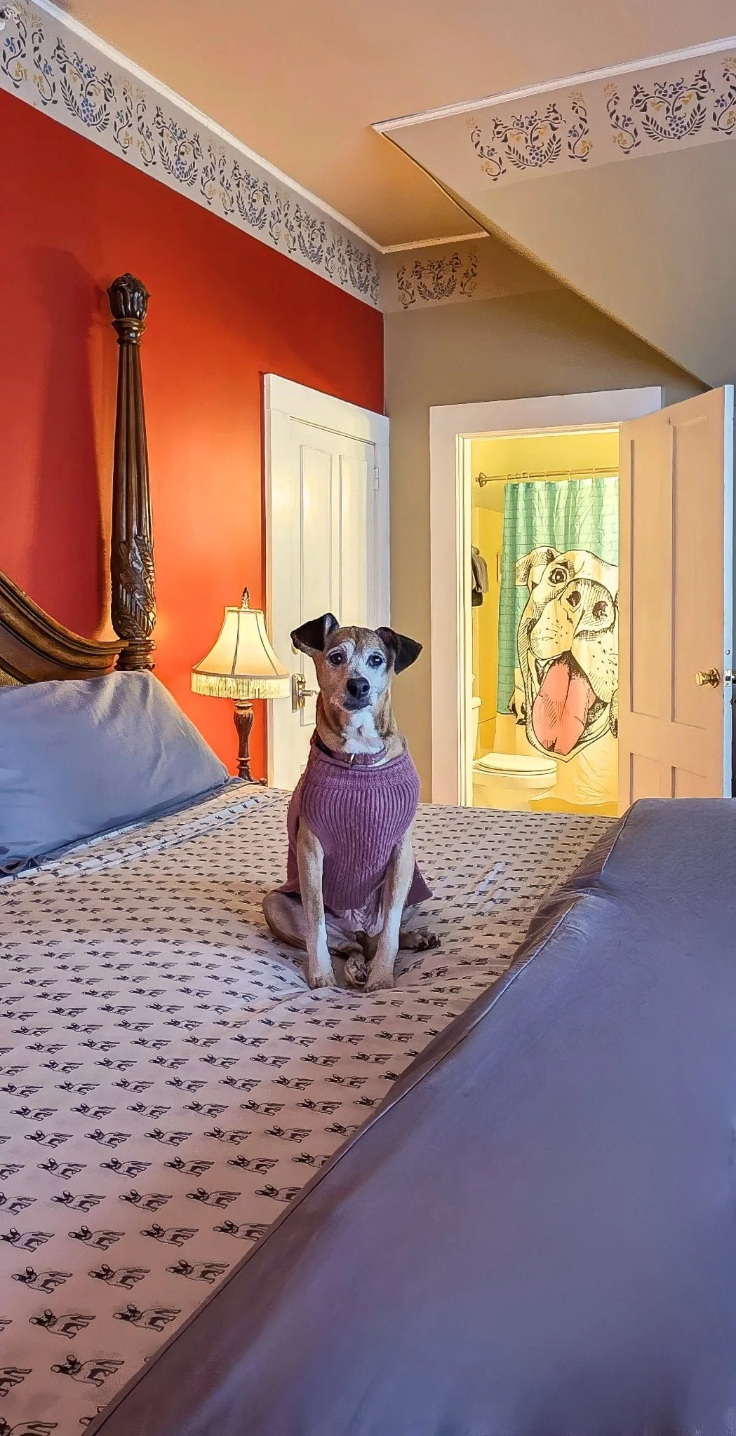 bad_dog_koko_on_bed_bathroom_behind.jpg