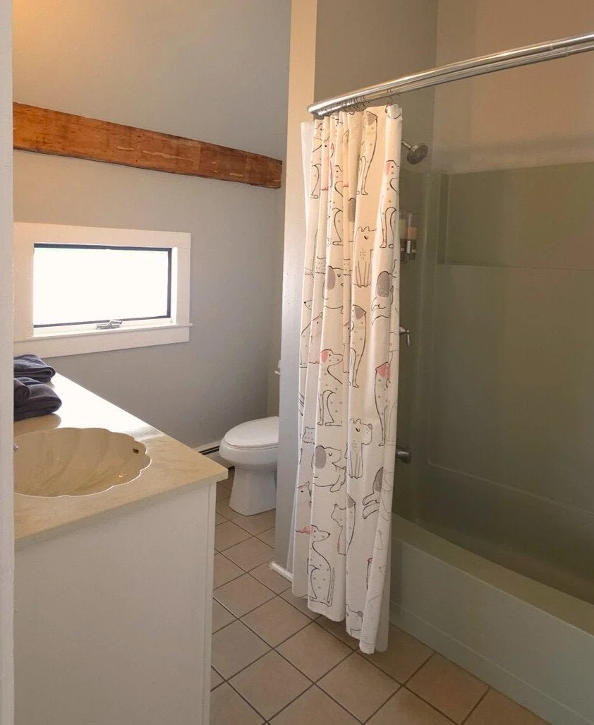 GOOD DOG BATHROOM TUB AND SHOWER.jpg