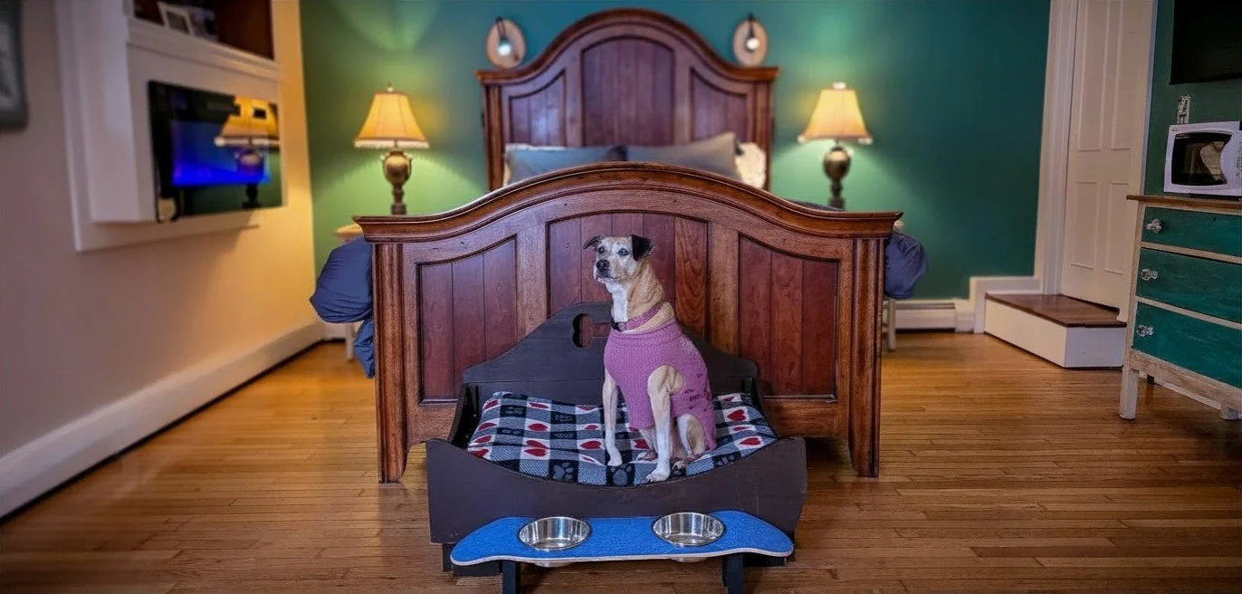spot bedroom.jpg