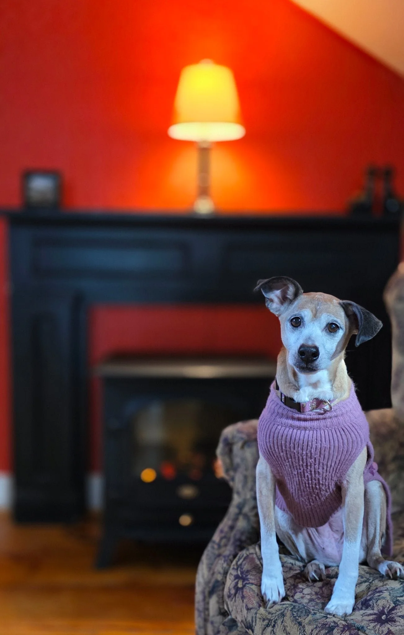 BARK AVE FIRESTOVE.jpg