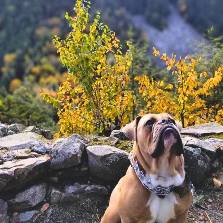 White Rocks National Park, Wallingford Vermont