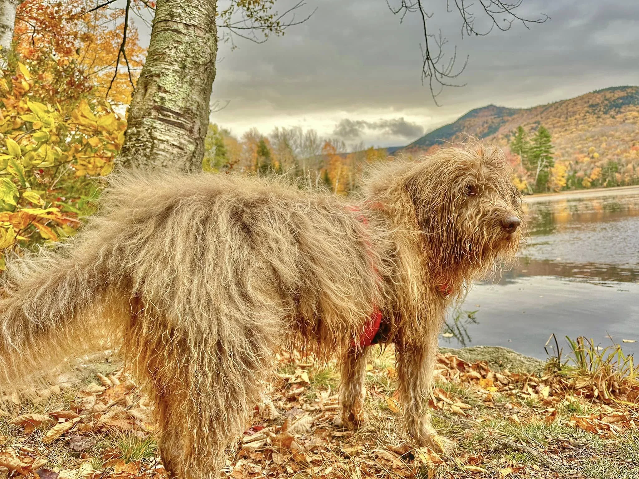 Chittenden Reservoir, Killington Vermont