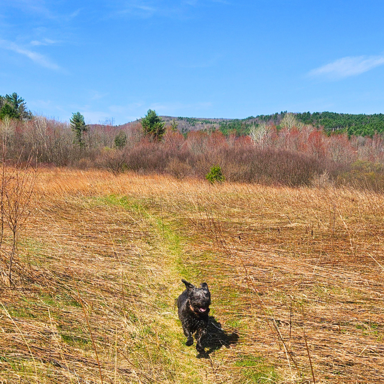 Westside Recreational Trail, West Rutland Vermont
