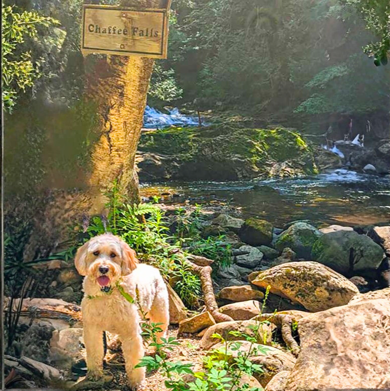 Chaffee Falls, Pittsford Vermont